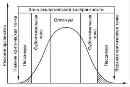Введення, середовище проживання, екологічні фактори - екологічні фактори середовища (лекції) Введення, середовище проживання, екологічні фактори - екологічні фактори середовища