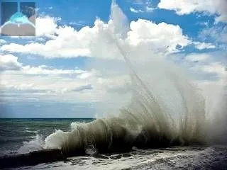 Чи живуть в азовському морі акули яких морських тварин слід побоюватися в його водах