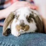 12 ДПО! Дуже болить живіт (планування вагітності) 12 ДПО! Дуже болить живіт