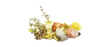 12 Рад, як перестати викидати продукти (продукти) 12 Рад, як перестати викидати продукти