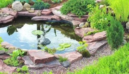 10 Помилок, які краще не допускати при спорудженні водойми, садиба (які) 10 Помилок, які краще не допускати при спорудженні водойми, садиба