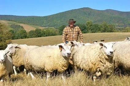 10 Речей, які потрібно знати про вівчарство - lavkalavka газета (Farmer дізнався вівчарство) 10 Речей, які потрібно знати про вівчарство - lavkalavka газета