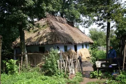 15 Глиняних будинків, які простояли під солом'яною стріхою з 100-3 ... (солом'яною) 15 Глиняних будинків, які простояли під солом'яною стріхою з 100-3 ...