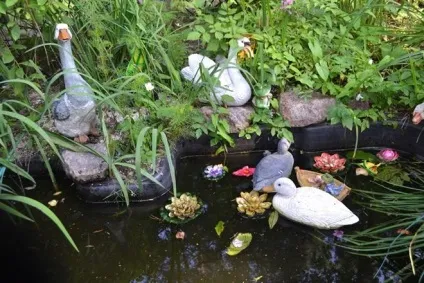 10 Помилок, які краще не допускати при спорудженні водойми, садиба (краще) 10 Помилок, які краще не допускати при спорудженні водойми, садиба