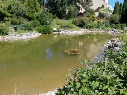 10 Помилок, які краще не допускати при спорудженні водойми, садиба (припускатися) 10 Помилок, які краще не допускати при спорудженні водойми, садиба