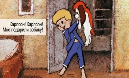 25 Фактів, знайомих любителям собак (собак) 25 Фактів, знайомих любителям собак