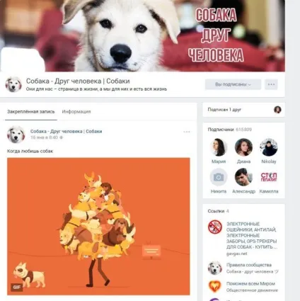 25 Фактів, знайомих любителям собак (собак) 25 Фактів, знайомих любителям собак