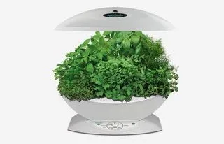8 технологічності способів вирощувати їжу вдома (Grow Your Pizza) 8 технологічності способів вирощувати їжу вдома