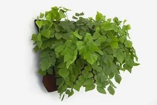 8 технологічності способів вирощувати їжу вдома (Open Source Farm) 8 технологічності способів вирощувати їжу вдома