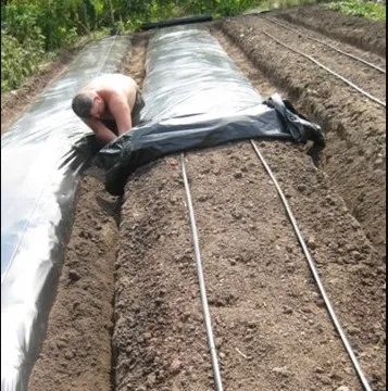 Агроволокно для полуниці