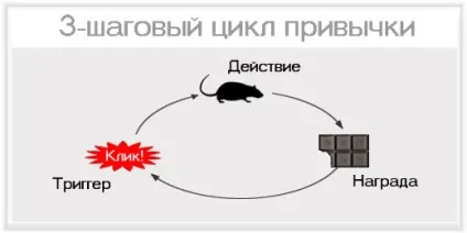 5 Тригерів, які запускають ваші звички (тригерів) 5 Тригерів, які запускають ваші звички
