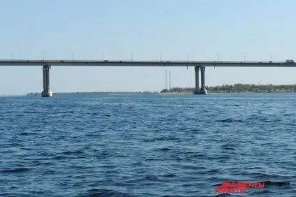 Алкоголь і зворотна течія