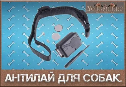 Антигавкіт для маленьких собак, ціна, який краще (собак) Антигавкіт для маленьких собак, ціна, який краще