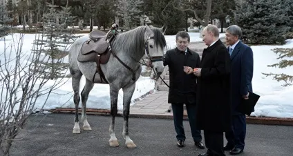 Атамбаєв подарував путину киргизького скакуна (Алмазбек Атамбаєв) Атамбаєв подарував путину киргизького скакуна