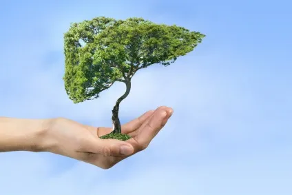 Аюрведа і доши для початківців, organicwoman (всього найсвіжішого цікавого) Аюрведа і доши для початківців, organicwoman