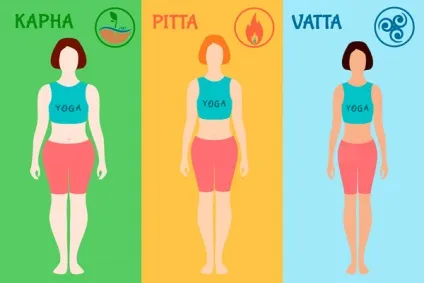 Аюрведа і доши для початківців, organicwoman (аюрведа) Аюрведа і доши для початківців, organicwoman