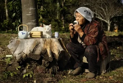 Бабуся і кіт фотоісторія незвичайною дружби (дружби) Бабуся і кіт фотоісторія незвичайною дружби