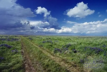 Асканія-Нова - унікальний заповідник незайманого степу - туризм (степ) Асканія-Нова - унікальний заповідник незайманого степу - туризм
