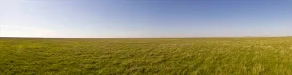 Безцінні поради для поїздки в заповідник асканія-нова (асканія-нова) Безцінні поради для поїздки в заповідник асканія-нова