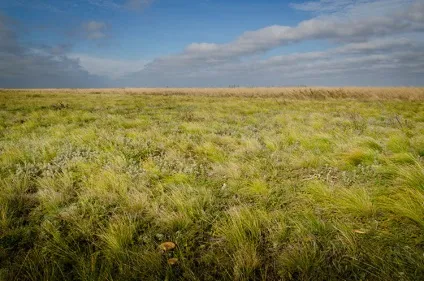 Безцінні поради для поїздки в заповідник асканія-нова (краще відвідати біосферний заповідник) Безцінні поради для поїздки в заповідник асканія-нова