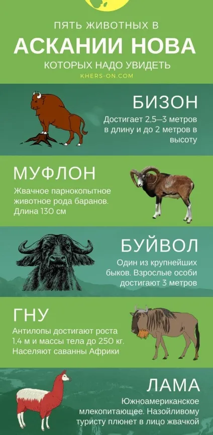 Безцінні поради для поїздки в заповідник асканія-нова (асканія-нова) Безцінні поради для поїздки в заповідник асканія-нова
