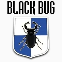 Black bug