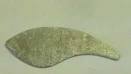 Блешня цикада своїми руками