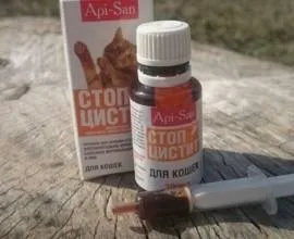 Хвороби сечостатевої системи у кішок (симптоми і лікування) (симптоми) Хвороби сечостатевої системи у кішок (симптоми і лікування)