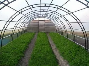 Бізнес ідеї на дому для чоловіків на селі або в приватному будинку (чоловіків) Бізнес ідеї на дому для чоловіків на селі або в приватному будинку