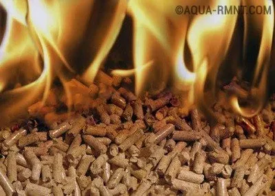 Біопаливо своїми руками з гною, хімія для каміна, пелети (гною) Біопаливо своїми руками з гною, хімія для каміна, пелети