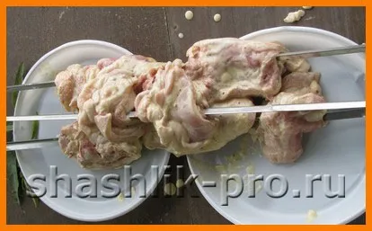 Швидкий шашлик з курки, шашлик (курки) Швидкий шашлик з курки, шашлик