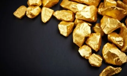 Бізнес на пошуку монет і металів металошукачем (серпень 2017) (металів) Бізнес на пошуку монет і металів металошукачем (серпень 2017)