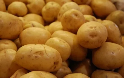 Швидкі вуглеводи - перелік товарів (список продуктів) Швидкі вуглеводи - список продуктів