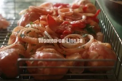 Швидкий шашлик з курки (курки) Швидкий шашлик з курки