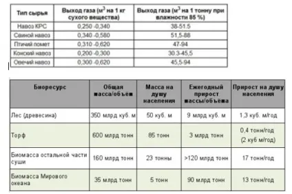 Біопаливо своїми руками
