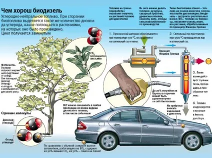 Біопаливо своїми руками