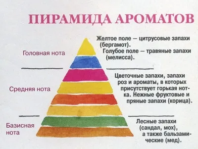 Французькі троянди «delbard»