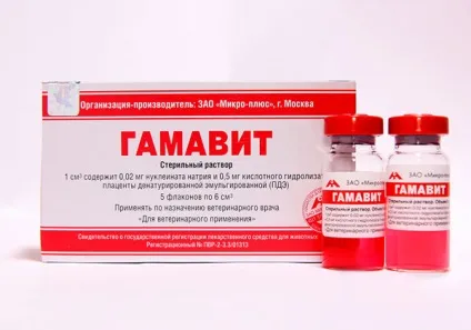 Гамавит унікальний препарат для кішок і собак (препарат) Гамавит унікальний препарат для кішок і собак