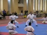 Фрі файт карате