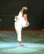 Фрі файт карате