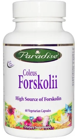Форсколин (coleus forskohlii) - жиросжигатель і анаболик в одній особі