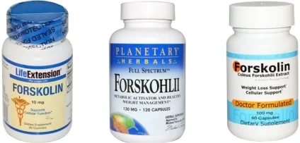 Форсколин (coleus forskohlii) - жиросжигатель і анаболик в одній особі