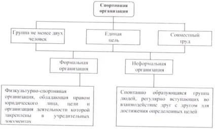 Фізкультурно-спортивна організація і ключова роль менеджменту (ключова) Фізкультурно-спортивна організація і ключова роль менеджменту