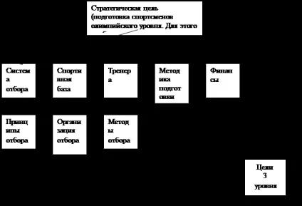 Фізкультурно-спортивна організація як об'єкт (організація) Фізкультурно-спортивна організація як об'єкт