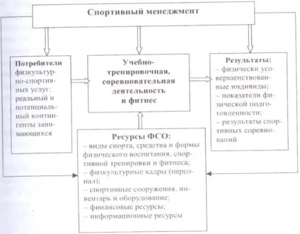 Фізкультурно-спортивна організація і ключова роль менеджменту (організація) Фізкультурно-спортивна організація і ключова роль менеджменту