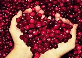 Брусниця і журавлина