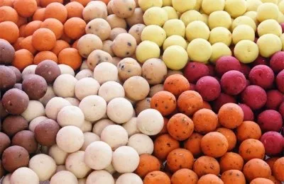 Бойл на карася як ловити і як зробити своїми руками (ловити) Бойл на карася як ловити і як зробити своїми руками