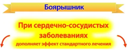 Глід інструкція, сайт лікаря САМОЛЬОТОВА д (гіпертонії серцево-судинних захворювань) Глід інструкція, сайт лікаря САМОЛЬОТОВА д