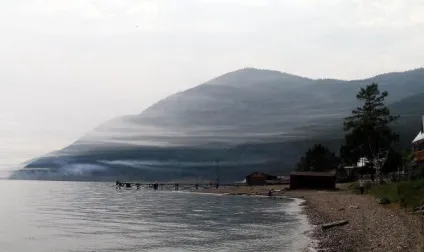 Великі коти в великих котів фото, адреса