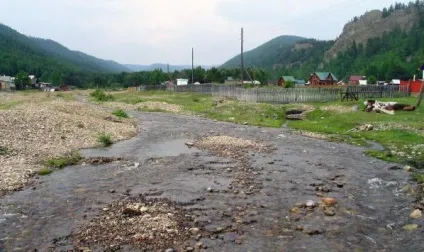 Великі коти в великих котів фото, адреса